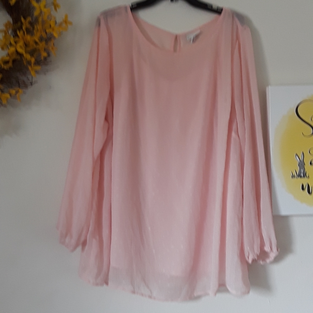 Pink Sheer Blouse with Attach Camisole